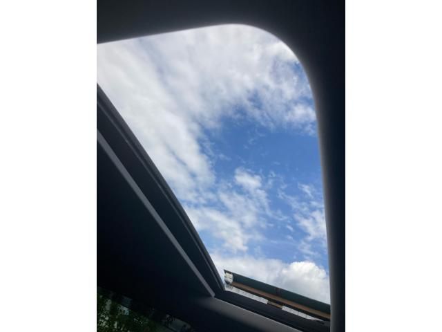 image 23