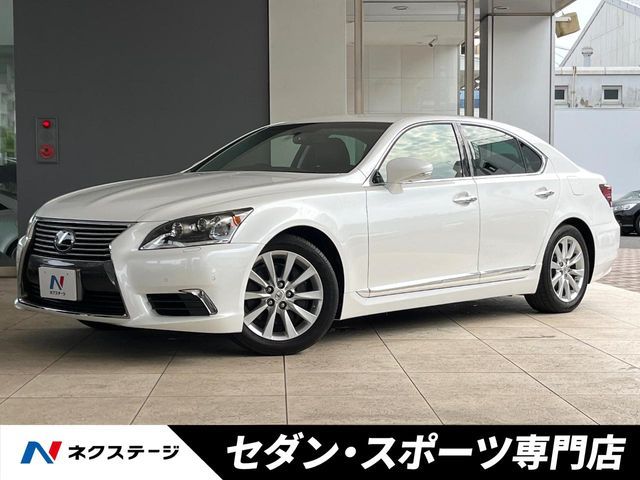 Photo of code 202616360519