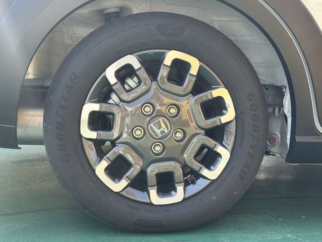 image 15