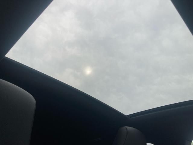 image 23