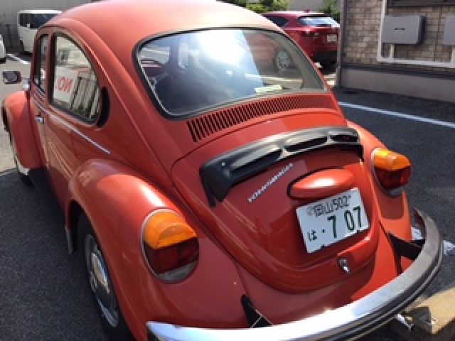 Photo of code 202616880005