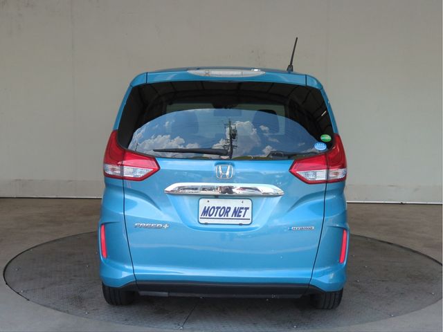image 19