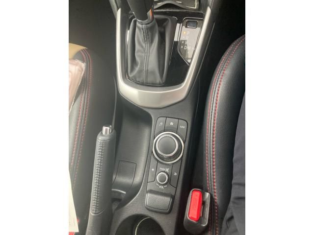 image 21