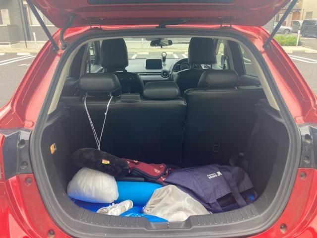 image 13