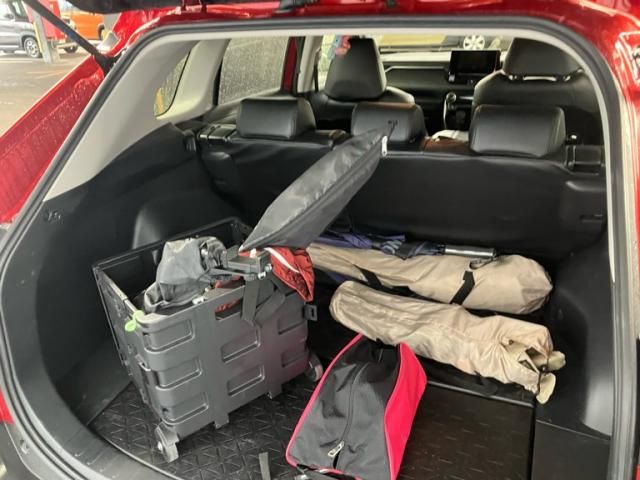 image 14