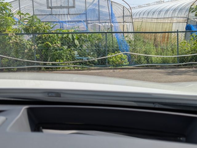 image 14
