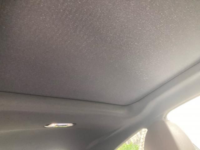 image 23