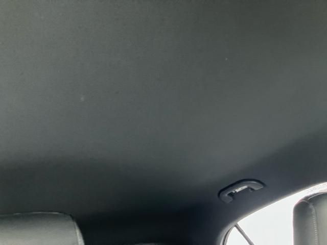 image 23