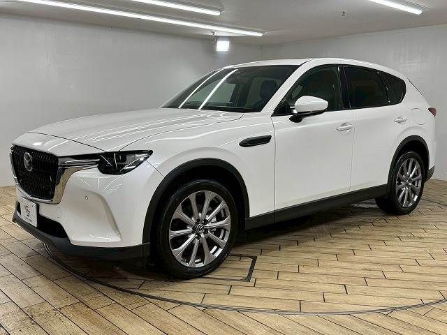 image 14