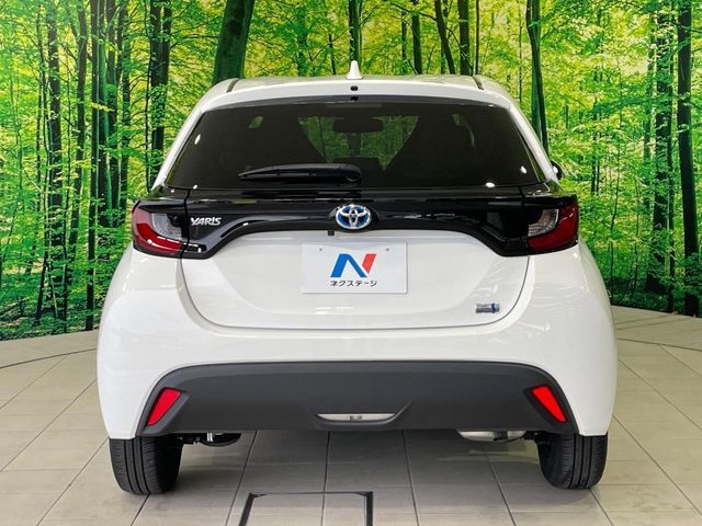 image 14
