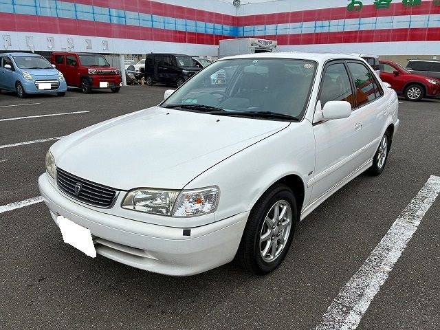 Photo of code 202619350252
