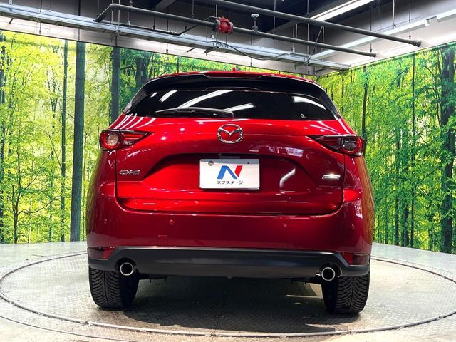 image 14