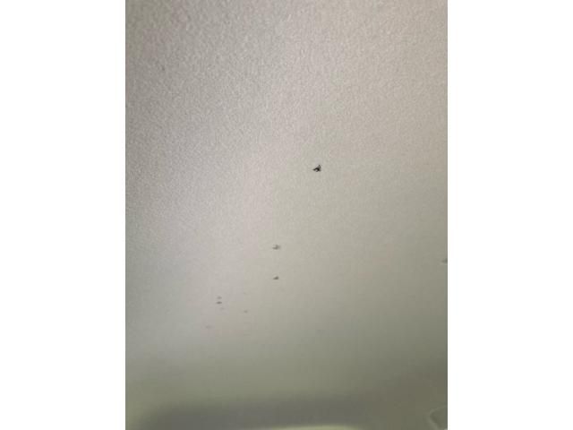 image 26