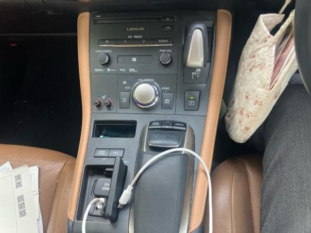 image 21