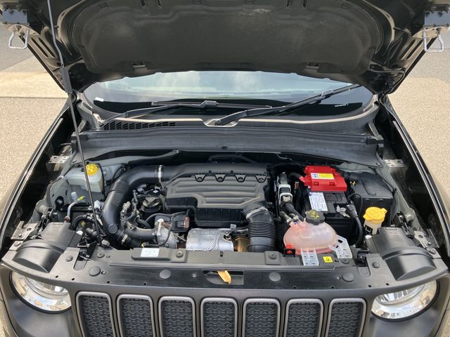 image 29