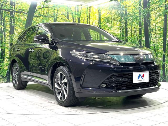 image 16
