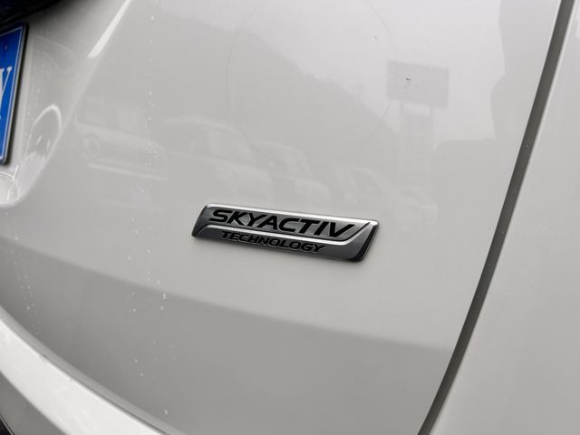 image 23