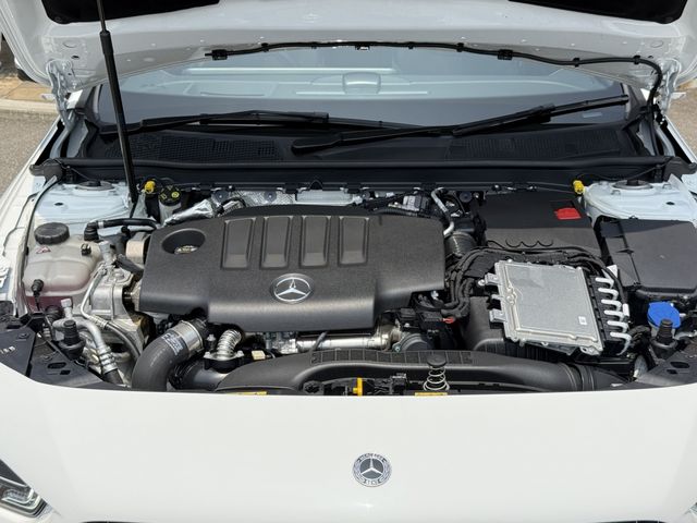 image 29