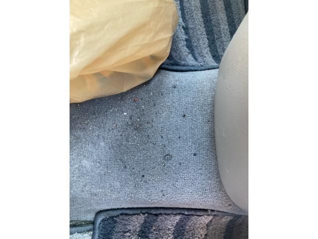 image 16