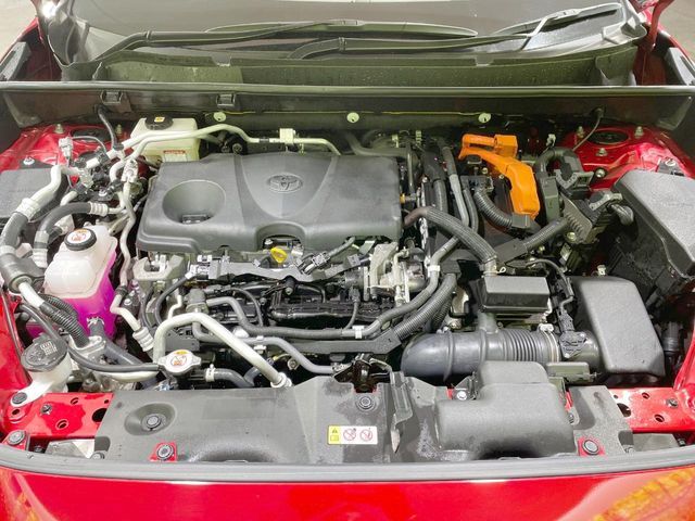 image 18