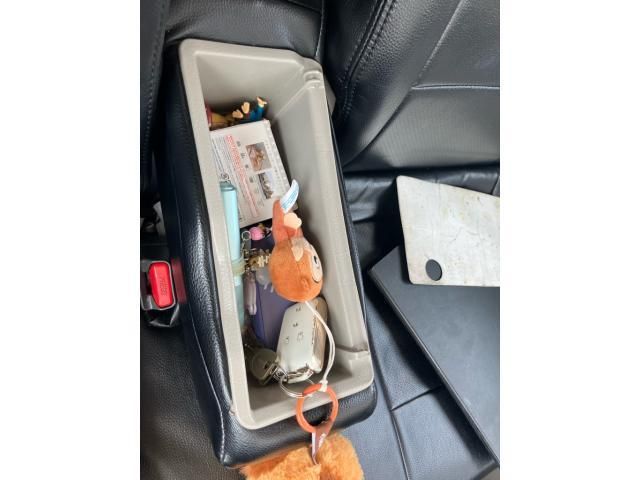 image 18