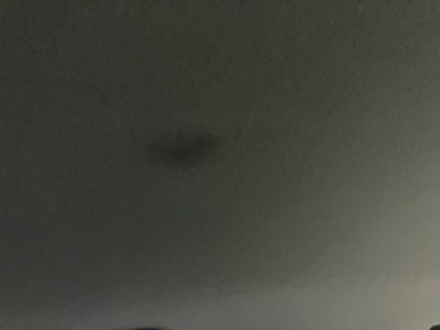 image 16