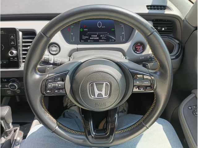 image 21