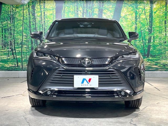 image 16