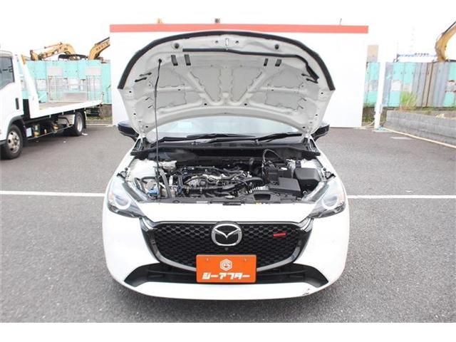 image 28