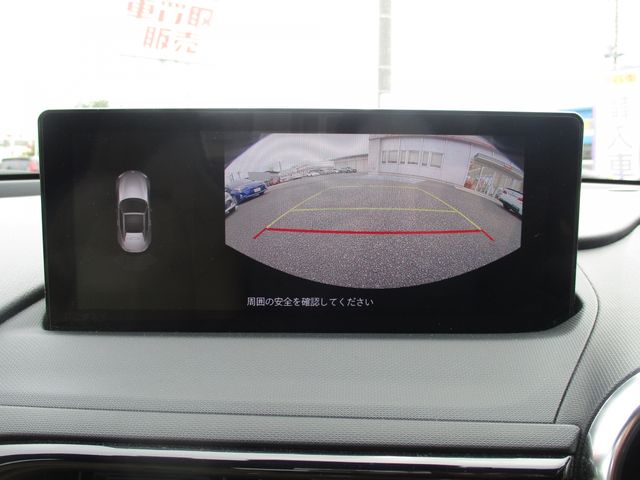 image 21