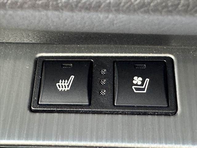 image 29