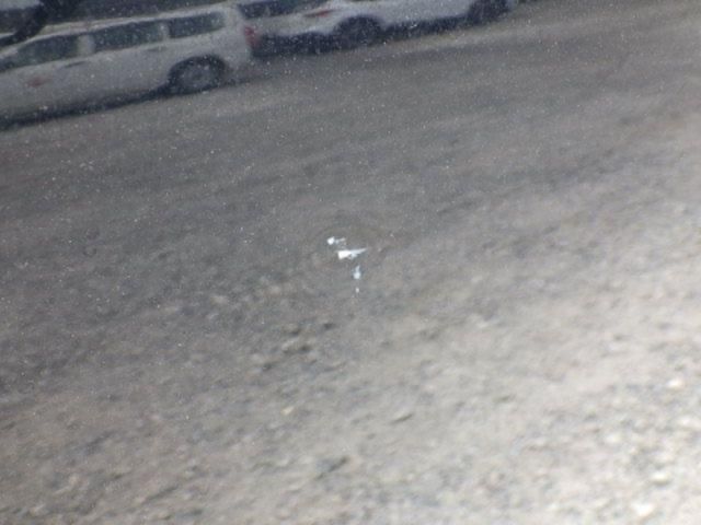 image 16