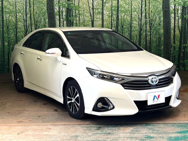 image 16