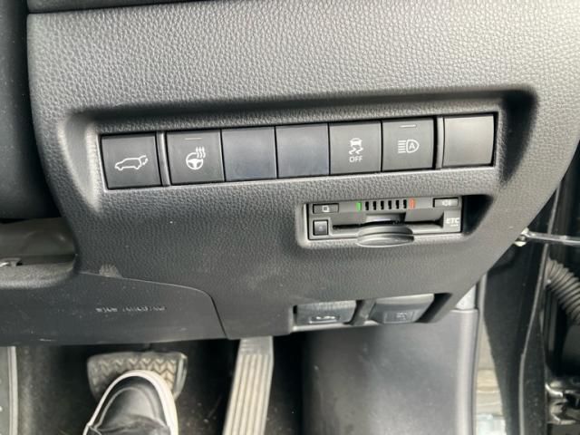 image 16