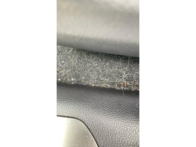 image 23