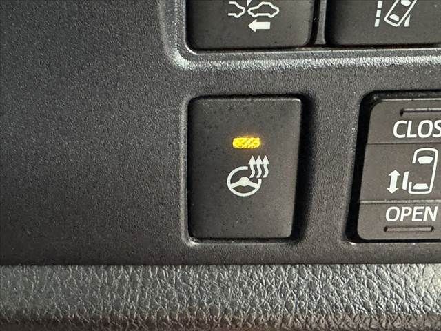 image 29