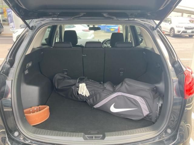 image 14