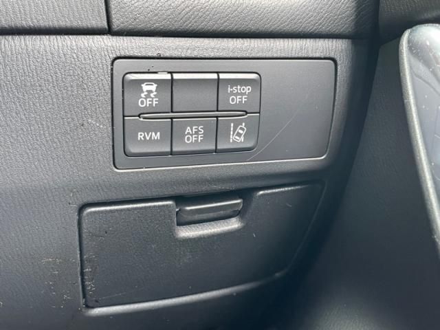 image 16