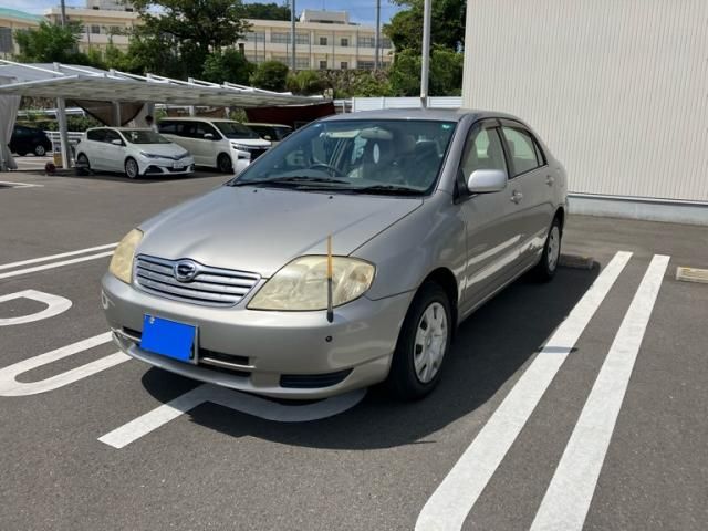 Photo of code 202622565388