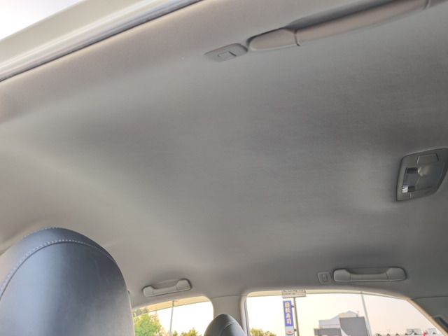 image 16