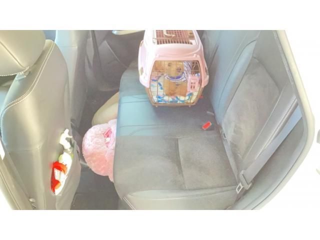image 22