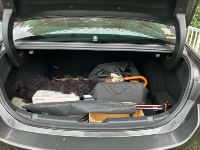 image 17