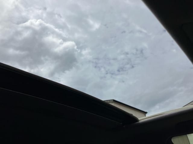 image 23