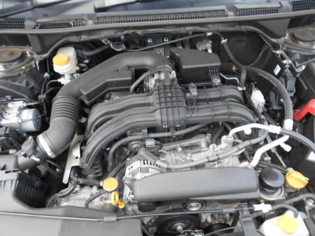 image 17