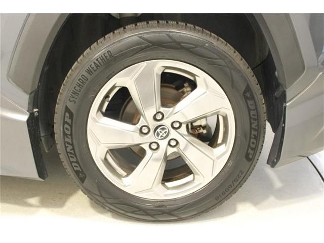 image 23