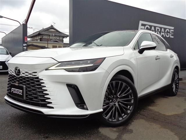 Photo of code 202624166371