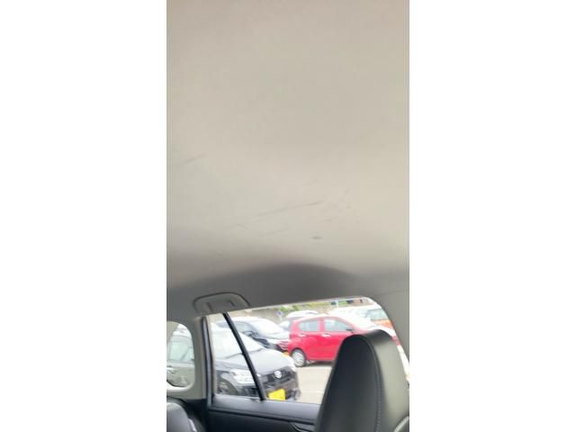 image 28