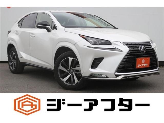 Photo of code 202624366594