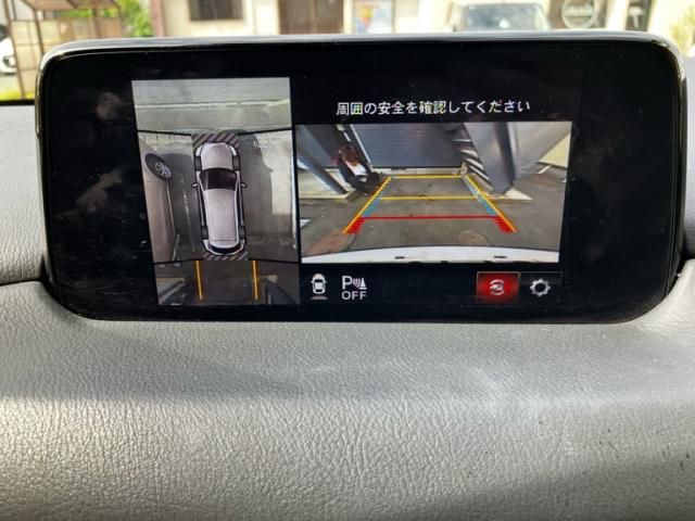 image 21
