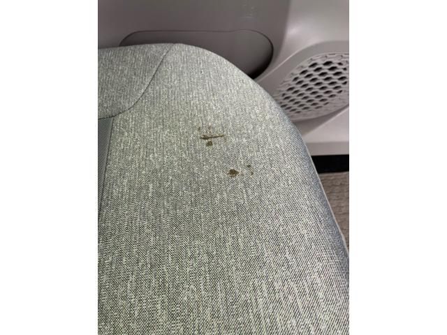 image 23